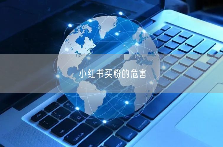 小红书买粉的危害