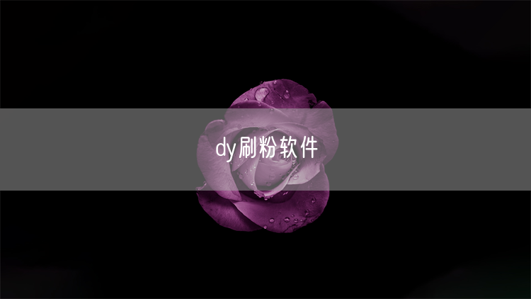 dy刷粉软件
